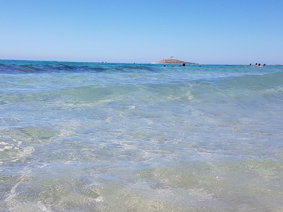 La Rosa Dei Venti Vila Isola delle Femmine Exterior foto